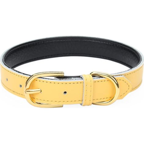 Collier Cuir - Rembourré - Pour Chat Chiot Chien Petite Moyenne Taille - 5 Positions Réglables - S M L (1/5)