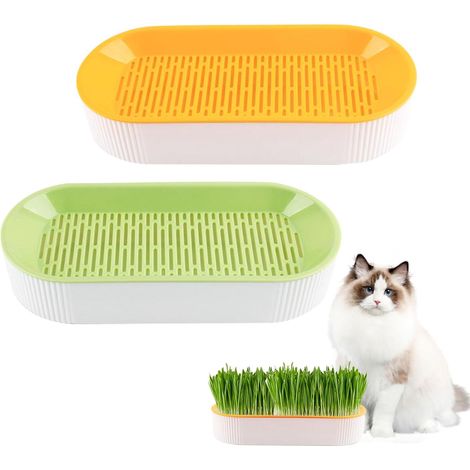 Lot de 2 Herbe à Chat, Jardinières d'herbe à Chat, Kit de Culture Hydroponique, Station d'alimentation avec pour Jardin et Maison Intérieure et Extérieure (1/5)