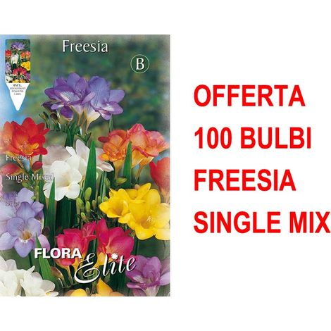 OFFERTA 100 BULBI FREESIA SINGLE MIXED BULBS BULBES