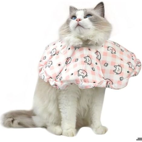 Collerette pour Chat Rglable Anti Lechage Collerette Douce pour Chat Collier de Protection Rglable pour Chat Aprs Chirurgie PZCC (1/4)