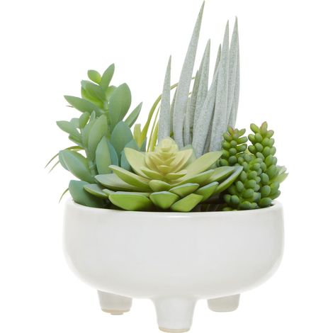 Premier Housewares Fiori Mixed Succulents in Large Ceramic Pot (1/5)