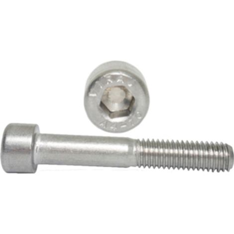 Vis Allen M10x100 A4 DIN 912 NG 1 pc. (1/5)