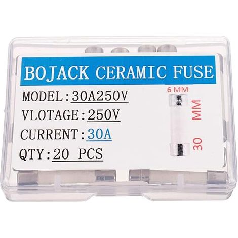 T30A250V 6x30 mm 30 A 250 V Fusibles en céramique à fusion lente 30 amp 250 Volt 0,24 x 1,18 pouces Fusible à retard de tube en céramique