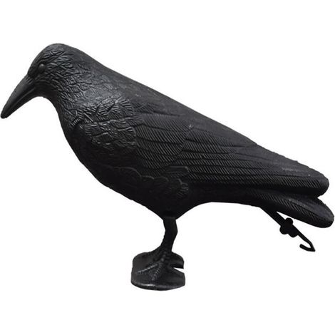Répulsif anti-pigeons - Corbeau - Répulsif contre les petits oiseaux et les pigeons - portée d’environ 36 cm (1/5)