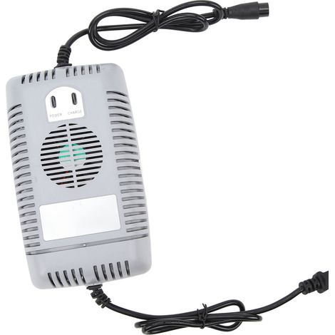 Chargeur de batterie au lithium pour scooter électrique et vélo électrique 48V (1/5)