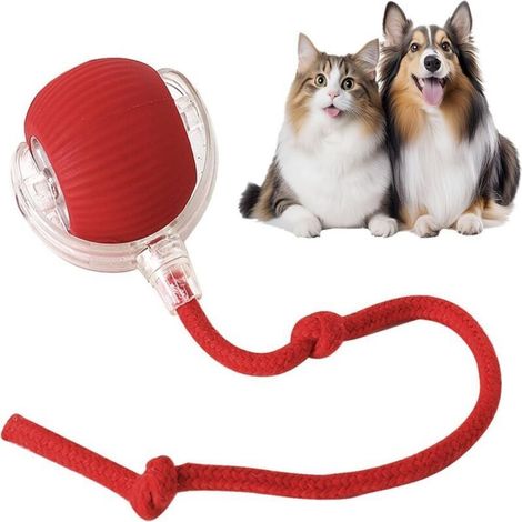 Interactive Cat Toy, Cat Ball, Interactive Cat Toy, 360 Degree, with LED Light, with Rope, USB Rechargeable (1/5)