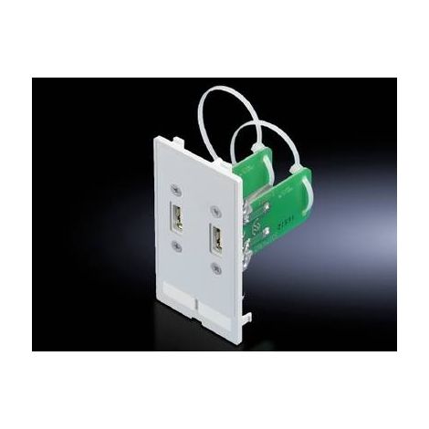 Volet d'interface USB-A Rittal 2482.540 Fonte gris graphite (RAL 7024) 1 pc(s) V161251 (1/2)