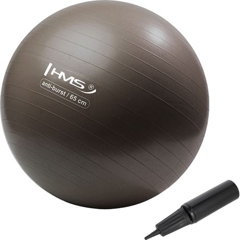 Pelota de gimnasio antiexplosión de 65 cm para ejercicio y yoga (1/5)