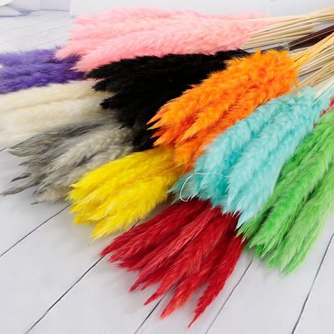 Pampas Grass - Dried Natural Reed Stems - 45 cm - Boho Home Decor - Vase Filler - Wedding Decoration - 30 Pieces (1/5)