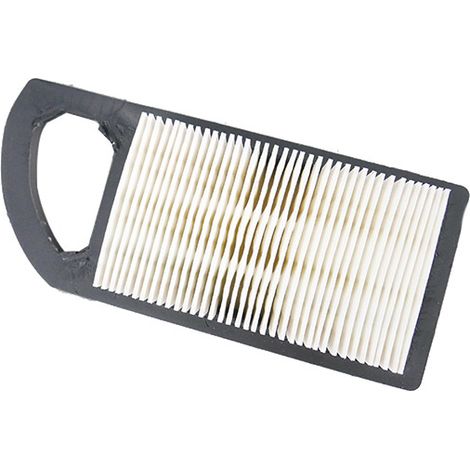 Filtre à air moteur Briggs et Stratton Powerbuilt, intek - 794421 (1/3)