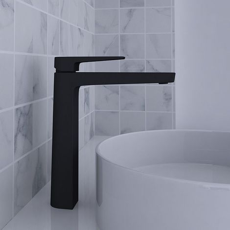 Robinet mitigeur PETUNIA Black (1/5)