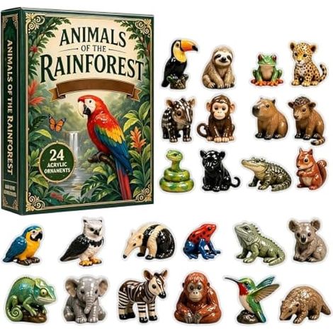 Calendrier de l'Avent de Noël Animaux Forêt Tropicale 24 Jours Décor Plat (1/5)