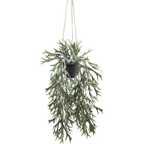 Fougère Platycerium artificielle en pot suspendu, L 35 cm, D 24 cm (1/3)