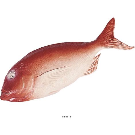 Daurade artificielle Rouge en Plastique soufflé L 360x130 mm (1/3)