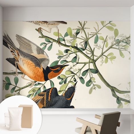 Newroom Tapete Dekorative Vliestapete mit Kleber Modern für Wohnzimmer Schlafzimmer  Bunte Vögel 152x104 cm (1/5)
