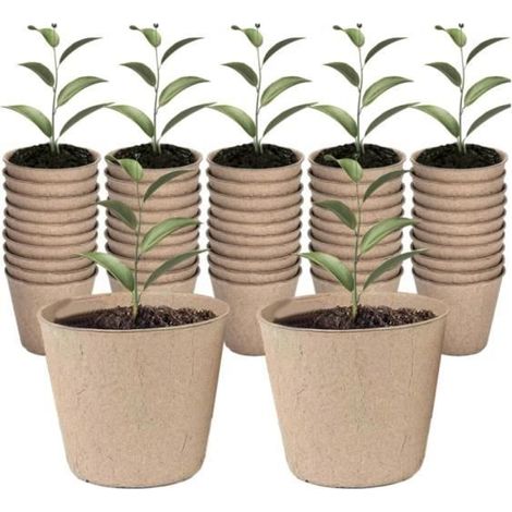 50 Torf-Anzuchttöpfe für Aussaat und Gartenarbeit (1/4)