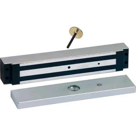 Sewosy EF30035ENCCTC Ventosa a incasso in alluminio 300 Kg