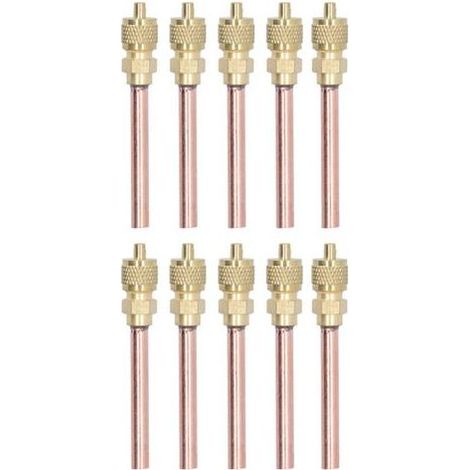 Lot de 10 Vannes d'Accès en Laiton 1/4" SAE avec Clapet Anti-retour pour Climatisation R22/R12/R134a (1/5)