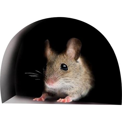 Autocollant mural trou de souris déco cuisine maison mignon stickers rongeur (1/5)