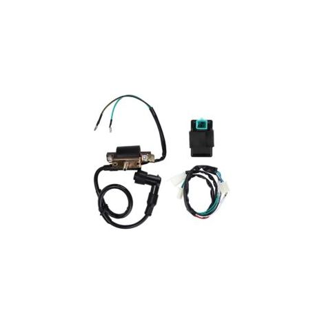 Bobina di accensione a 5 pin per centralina CDI CC per ATV, moto da cross e go-kart cinesi da 50cc, 70cc, 90cc, 110cc e 125cc - Crezuo