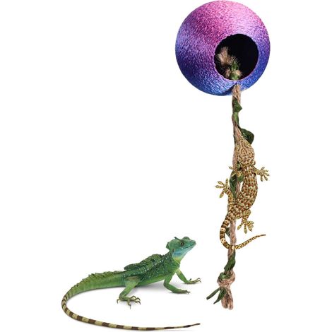 Cachette Reptile Accessoires aimantés pour enclos Reptiles Cache pour gecko, décoration d'enclos Pour Repos & Enrichissement des Mygales, Grenouilles, Crabes, Lézards, Mantes (1/5)