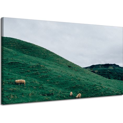 Leinwanddruck Naturweide in den Bergen 120x70