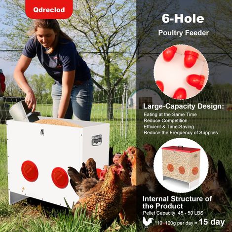 Mangeoire Automatique pour Poules en Acier Galvanisé 6 Trous Distributeur de Nourriture Anti-Nuisibles Grande Capacité pour Volailles Canards Oies