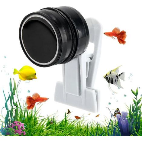 Pince magnétique pour aquariums, pour nourrir les poissons avec des algues et des légumes, adaptée à l'eau douce ou à l'eau de mer.-AquaForge (1/5)