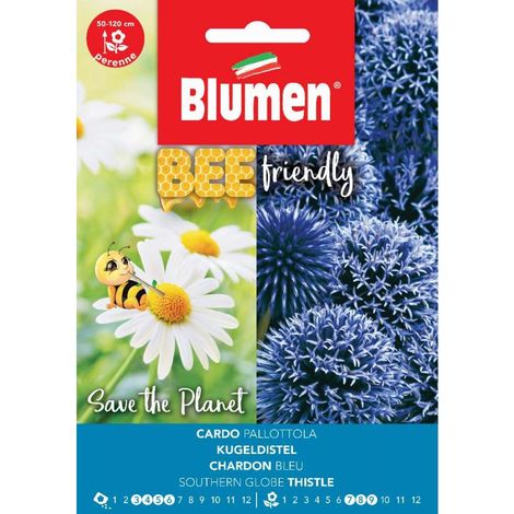 SEMI CARDO PALLOTTOLA ECHINOPS RITRO