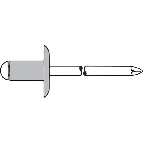 Rivet Alu Grande Testa K12 4 X10Mm Gesipa (A 500)