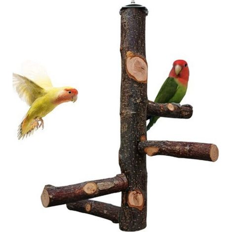 Joody Perchoir pour Cage de Perroquet Jouets pour Perruche Perchoir en Bois Naturel pour 3 ou 4 Petits ou Moyens, Cacatoès, Conure, Perruche, Oiseau d'amour, Pinson (1/5)