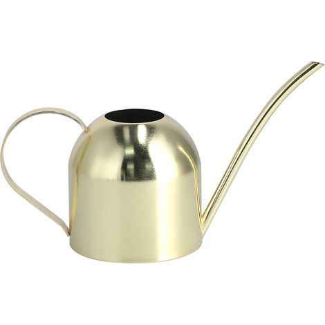 1000 ml Vintage-Gießkanne aus Edelstahl für Sukkulenten, Blumen und Pflanzen – Gold (1/5)