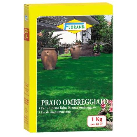 Prato Ombreggiato 1000 g