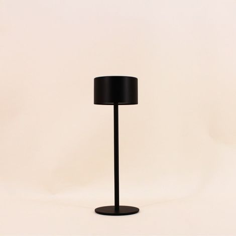Lampe rechargeable USB IP44 en métal noir 27cm (1/5)