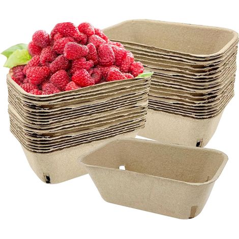 Beerenkörbe - 50 Stück Obstbehälter à Pint,Karton Beerenkörbchen  für Erdbeeren Tomaten Himbeeren Blaubeeren Küche Vorratsraum Arbeitsplatte Zuhause Kühlschrank Party (1/5)