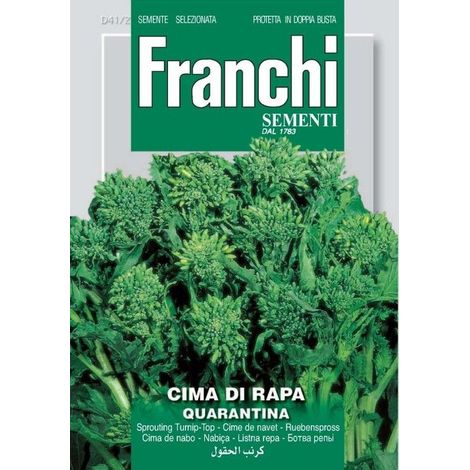 SEMI CIMA DI RAPA QUARANTINA FRANCHI SEMENTI