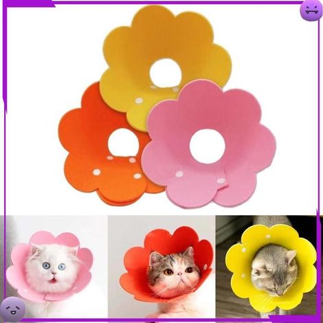 AUCUNE Collier de récupération de chat 3pcs Collier De Récupération Pour Chat Coloré Anti-Léchage animalerie carde (1/5)