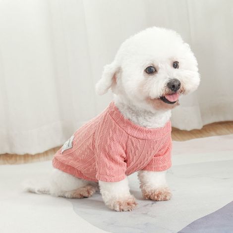 Pull Tricoté Pour Chien Et Chat - Vêtement Chaud Automne Hiver - Polyester Doux - Tailles XS À XXL - 1 Pièce (1/5)