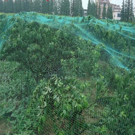 Filet anti-oiseaux ZJCHAO - 4m 10m - Vert - Protection des plantes - Jardin (1/3)