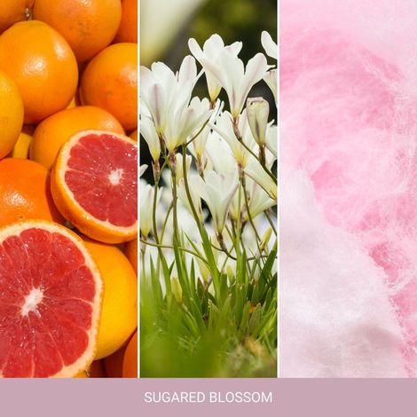 Yankee Candle Home Inspiration, bastoncini profumati al profumo di fiori canditi, 90 ml (1/5)