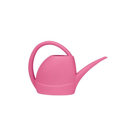 Blume Hort Up Reinadora Atlantis, Magenta, 1,5 Liter
