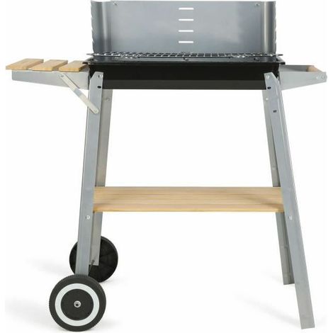 Barbecue à charbon 48x28cm - Livoo - DOC244 (1/5)