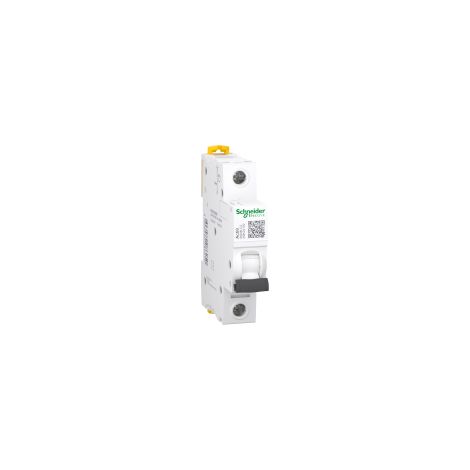 iK60N 1P 2A C - A9K24102