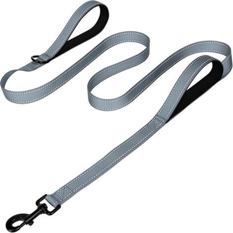 BUNTHAUS 180cm Basics Laisse Réfléchissante Double Face pour Chien avec Doubles Poignées Rembourrées et Anneau en D (1/5)