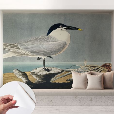 Fotomurale adesivo - parete decorativa - decorazione casa - stile moderno parete - Eleganza ornitologica 208x146 cm (1/5)