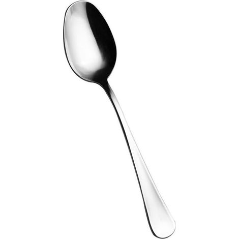 Salvinelli Canada set 12 cucchiaio frutta acciaio inox 18/10