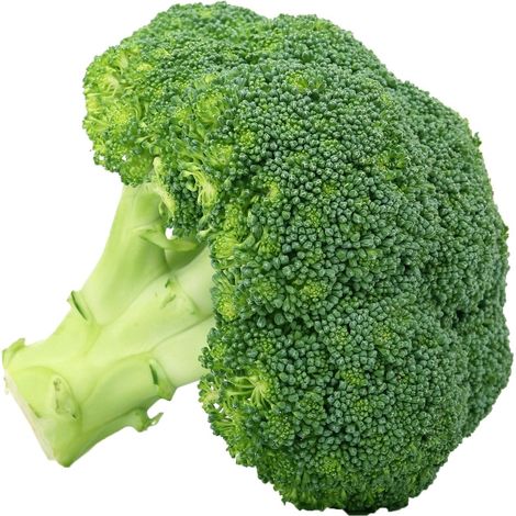 Semi di Cavolo Broccolo ramoso Calabrese tardivo Di Marzo piante per orto e giardino