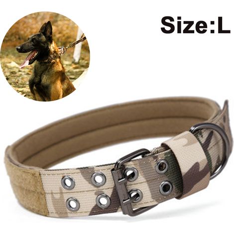 Collier pour chien, réglable, anneau en D (1/5)