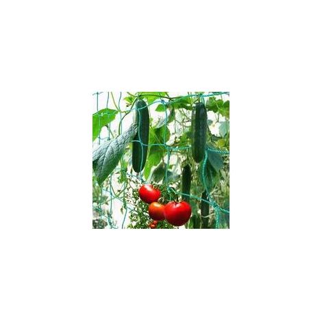 Filet à ramer maillage large 1.8 x 2.7 m – Polyéthylène robuste – Pour récolte de concombres, tomates et plantes grimpantes (1/5)
