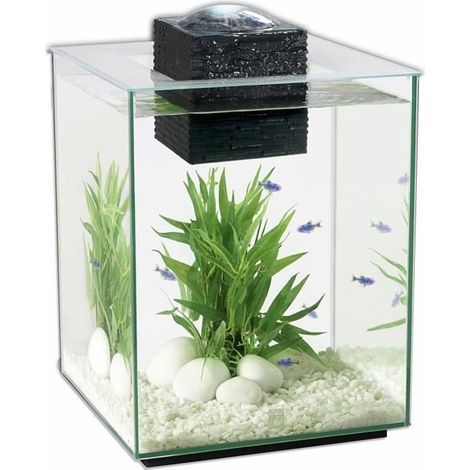 Aquarium Fluval Shui ii 19 litres (1/5)